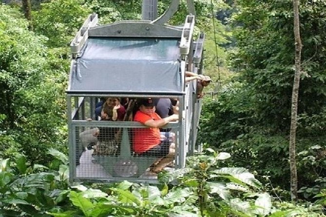 Veragua Rainforest - Good To Know