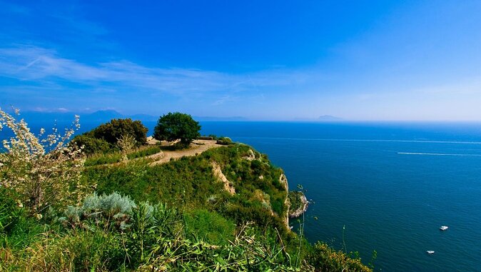 Vespa Panoramic Tour - Good To Know