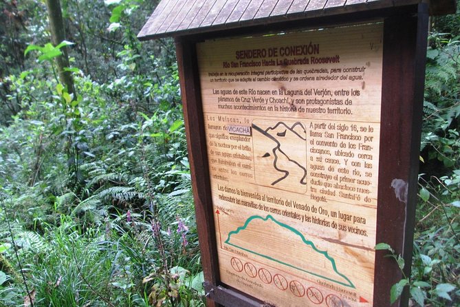 Vicacha Trail - San Francisco - Good To Know