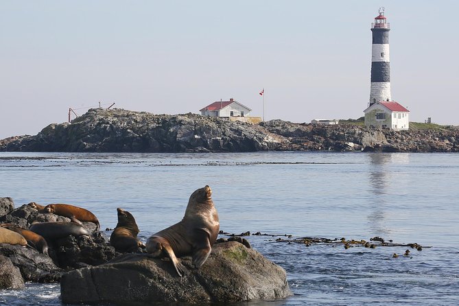 Victoria Marine Wildlife Tour - Good To Know