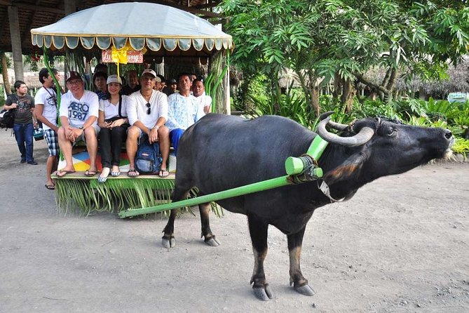 Villa Escudero Tour With Lunch From Manila (Shared) - Itinerary and Highlights