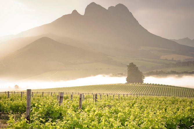 Vine Hopper: Hop-On Hop-Off Wine Tour - Northern Route - Good To Know