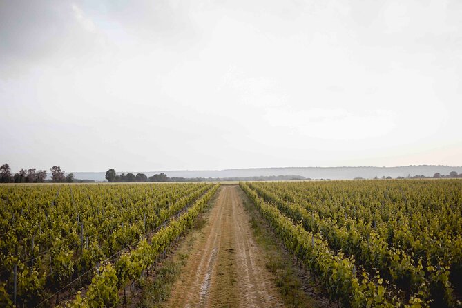 Vineyard Tour and Wine Tasting in Davron - Good To Know