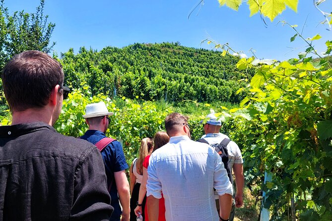 Vineyards & Wine Tasting Tour From Durres - Good To Know