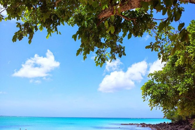 Visit 4 Beaches in the North Including Mont Choisy & Pereybere - Overview of the Beaches