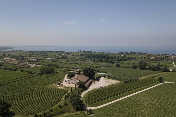 Visit and Wine Tasting at Tenuta La Cà - Good To Know