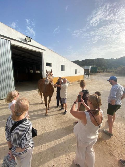 Visit the Angostura Stud Farm + Wine - Good To Know