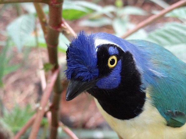 Visit to La Reserva BioPark Private Tour (6 Hrs.) - Good To Know