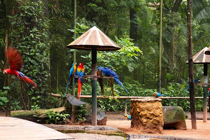 Visit to the Bird Park - Good To Know
