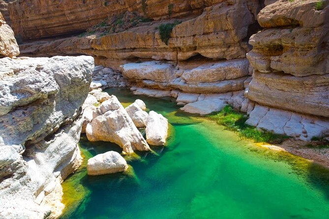 Visit Wadishab Full Day From Musact - Good To Know