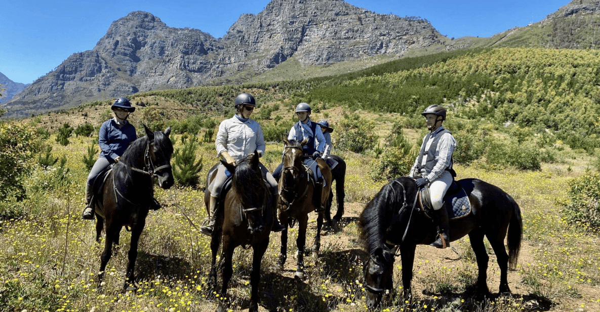 Vrede En Lust Wine Estate: 1H Breakfast Horse Trail - Good To Know