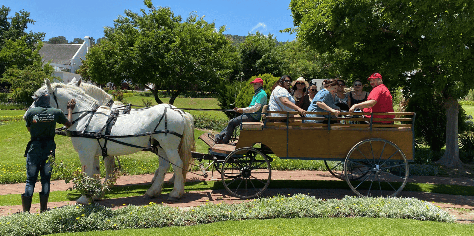 Vrede En Lust Wine Estate: 30M Carriage Ride - Good To Know