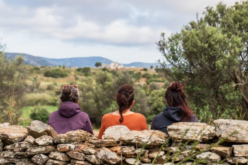 Walk Among the Olive Trees (Private Group Experience) - Good To Know