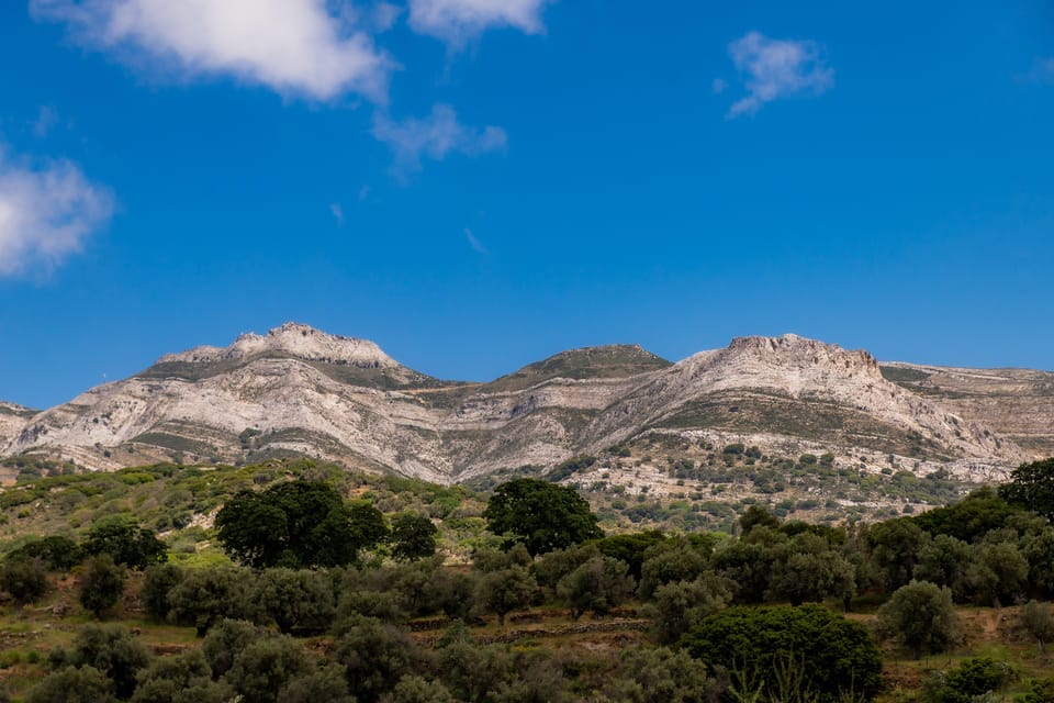 Walk Among the Olive Trees (Small Group Experience) - Good To Know