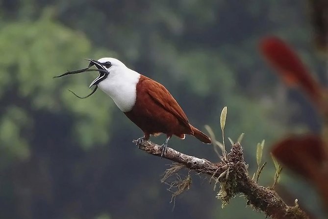 Walking Reserve Curi-Cancha - About Your Stay