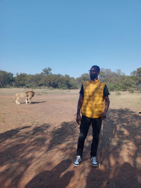 Walking With Lions