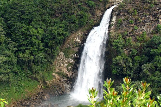 Waterfall Climbing and Zipline Tour From Medellin - Overview of the Tour