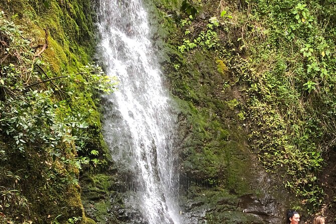 Waterfall Hike , Sightseeing & East Side Beach Day - Good To Know