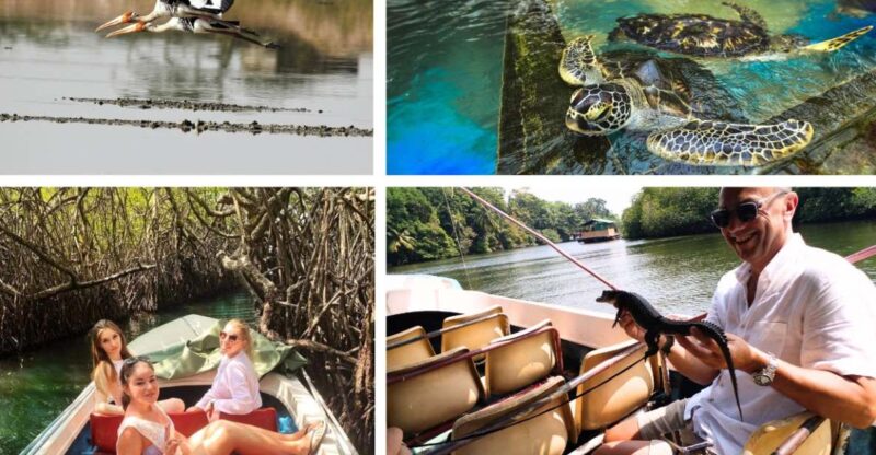 West Coast Beach, River Mangroves Lagoon, Wildlife Boat Tour - Good To Know