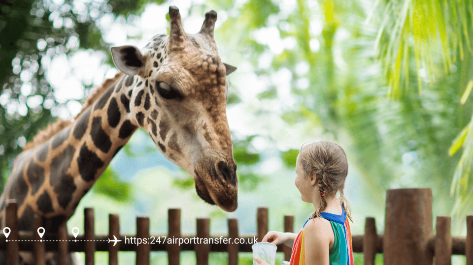 West Midland Safari Park Adventure: a Day With Wildlife - Encountering Ice Age Creatures