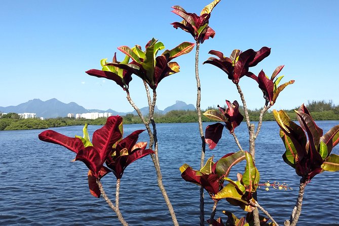 West Side Story of Rio: Barra Da Tijuca, Its Natural and Cultural Attractions. - Good To Know