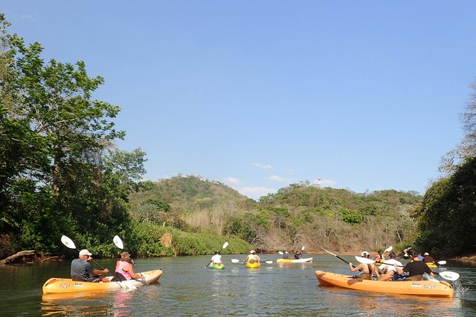 Wildlife and Mangrove Kayaking Tour Río Ora - Tour Details