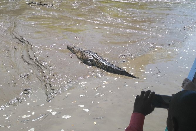 Wildlife River Boat Safari & Cultural Experience. - Good To Know