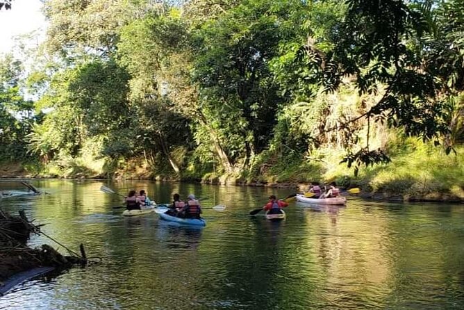 Wildlife Safari Experience by Kayak - Good To Know