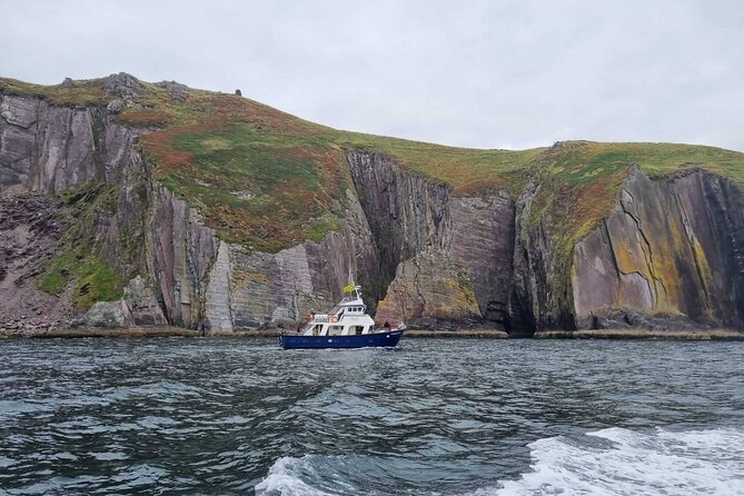 Wildlife Tour - Slea Head Sightseeing Tours