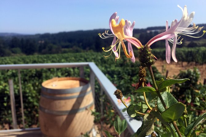 Willamette Valley Character Winery Tour - Good To Know