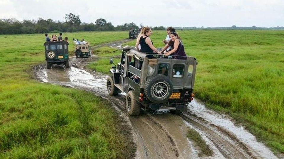 Wilpattu National Park With Safari Jeep & Entrance Ticket - Good To Know