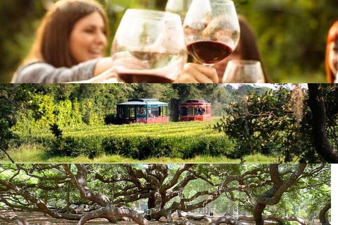 Wine Sippin-Tea Drinkin-Tree Huggin Lowcountry Adventure - Good To Know