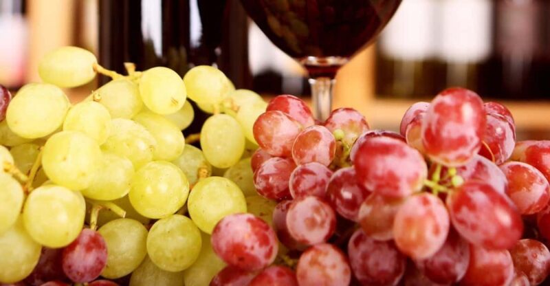 Wine Tour and Olive Tasting- Small Group Tour - Good To Know
