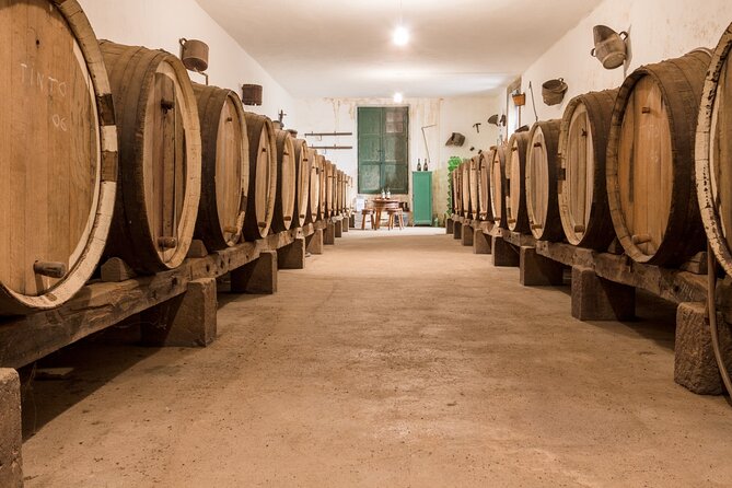 Winery Tour, Wine Museum, and Tasting in Gran Canaria