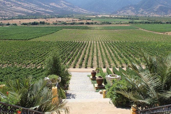 Winery & Valparaiso Private Tour - Day Trip From Santiago - Good To Know