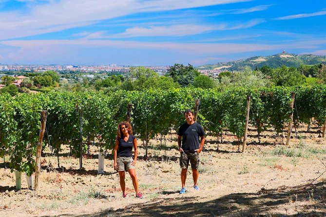 Winetour and Tasting on Bologna Hills, Guided by the Wine Grower - Good To Know