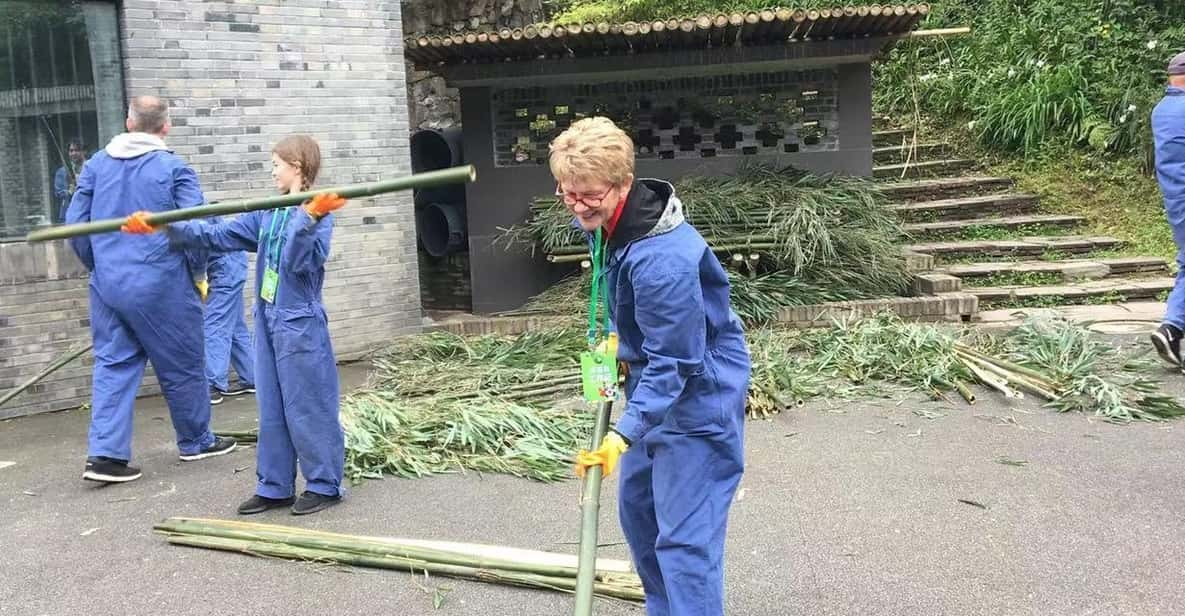 Wolong:Volunteer Work in Panda Park - Good To Know