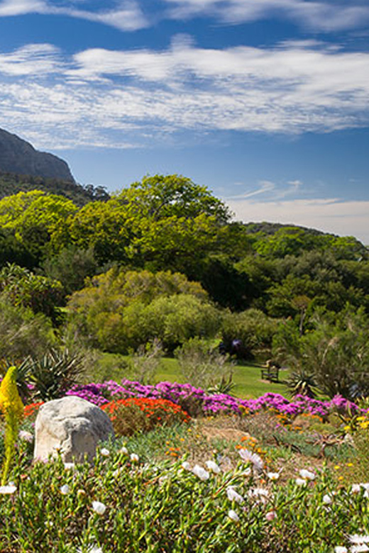 World of Birds, Kirstenbosch & Constantia Wine Private Tour - Good To Know