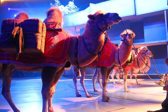 Xian Silk Road: Legend of Camel Bell Show Ticket With Transfer - Good To Know