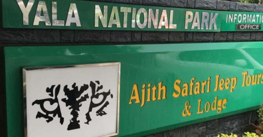 YALA National Park 7-Hours Wildlife Safari With Breakfast - Safari Overview and Pricing