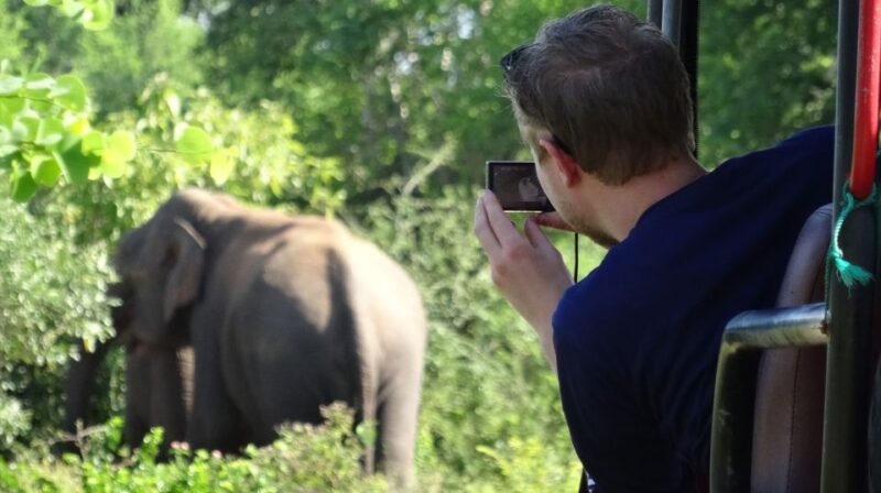 Yala National Park: Morning or Afternoon Game Drive - Good To Know