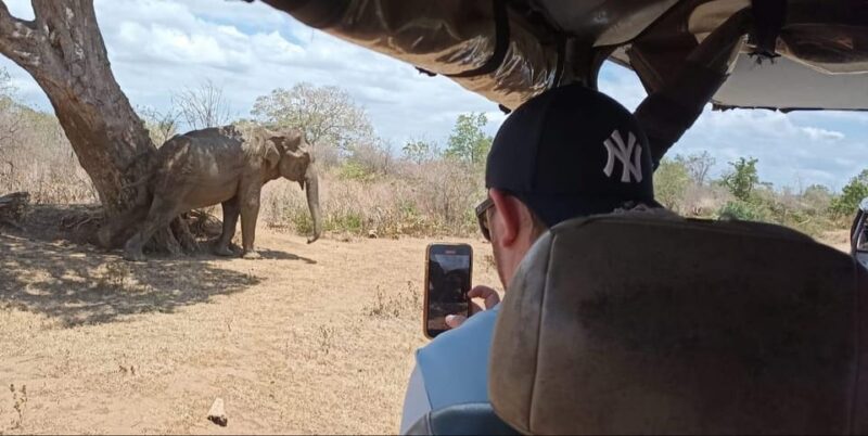 Yala National Park Safari Tour From Colombo / Galle - Good To Know