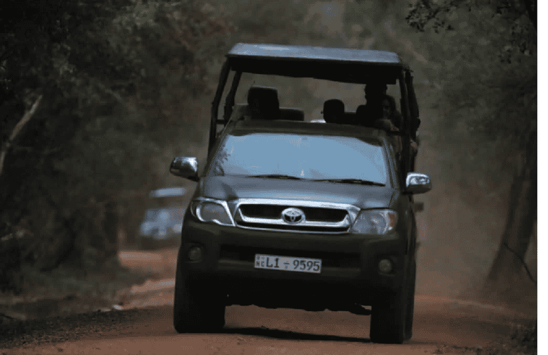 Yala Private Safari | Full Day | Guided by a Professional - Safari Overview