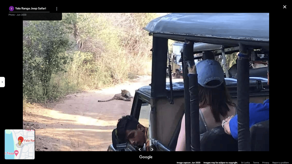 Yala Safari Day Tours - Tour Overview and Pricing