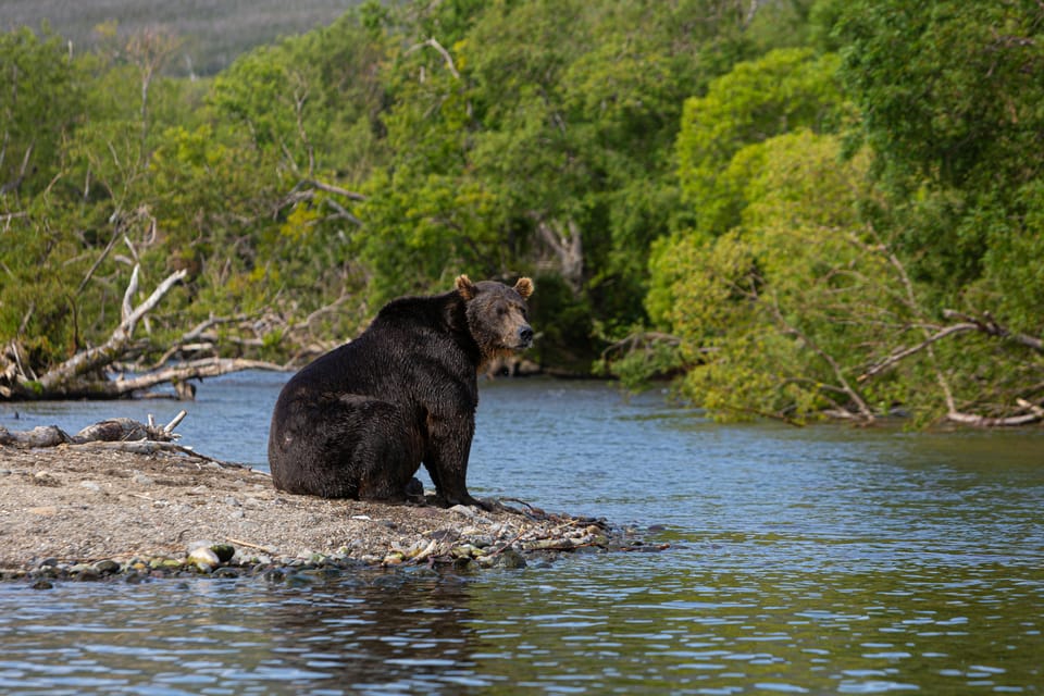 Yala Safari Tour From Hambantota Port - Good To Know