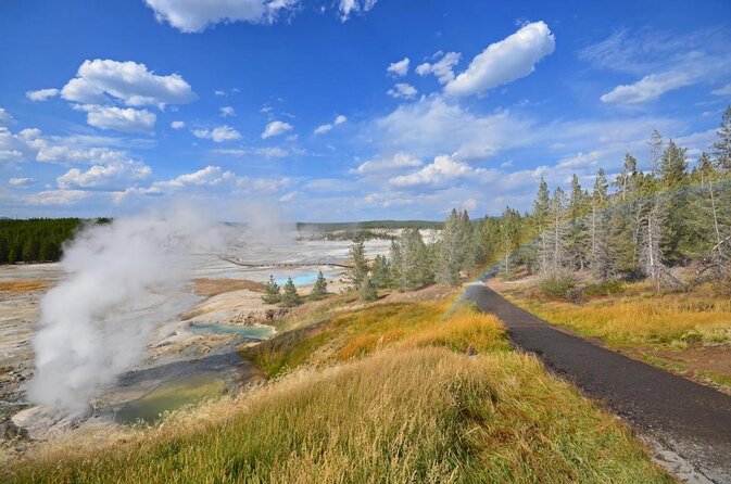 Yellowstone Hot Spring & Geyser Basin Tour - Good To Know
