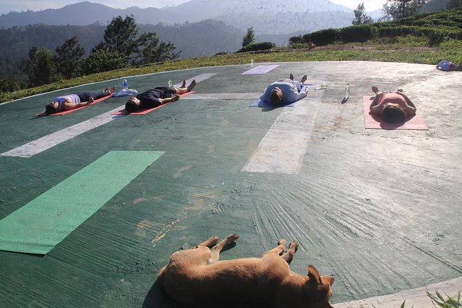 Yoga Near Little Adams Peak With Sunrise . - Good To Know