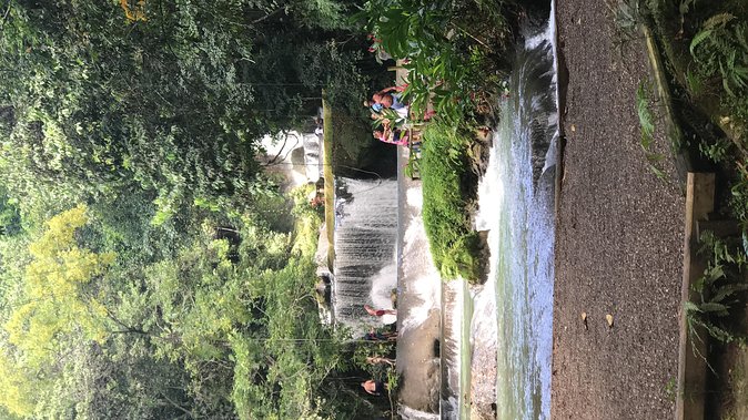 YS Falls, Black River Safari, Floyd's Pelican Bar - Good To Know