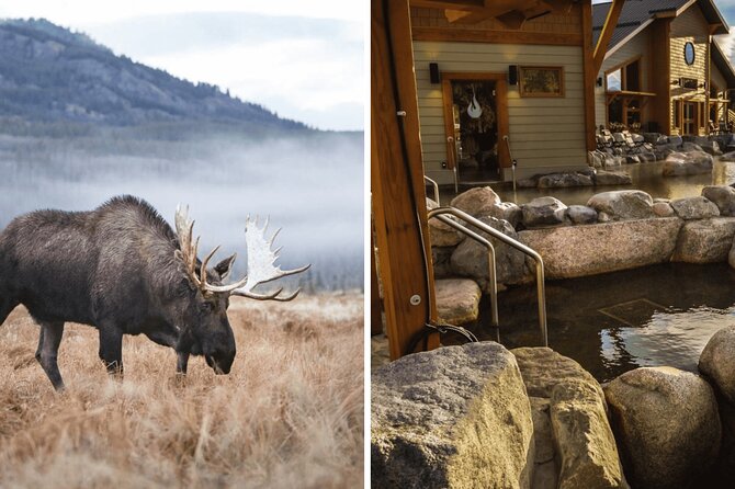 Yukon Wildlife Preserve & Eclipse Nordic Hot Springs - Good To Know