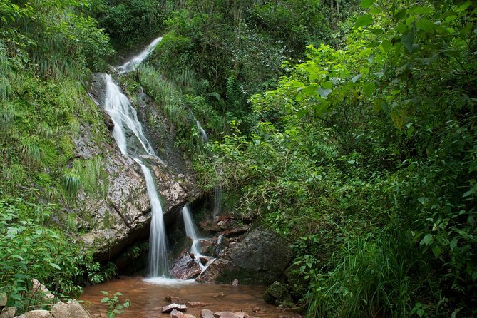 Yungas Half-Day Tour From Tucuman - Good To Know